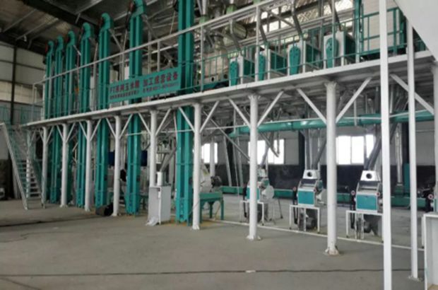 導致玉米深加工機械產量低的因素,你踩雷了嗎?(圖1) 玉米深加工機械